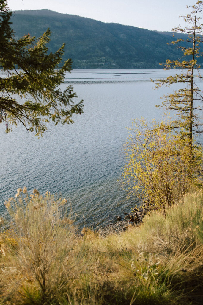 Kelowna Okanagan proposal photographer wedding photographer film photographer 35mm super8