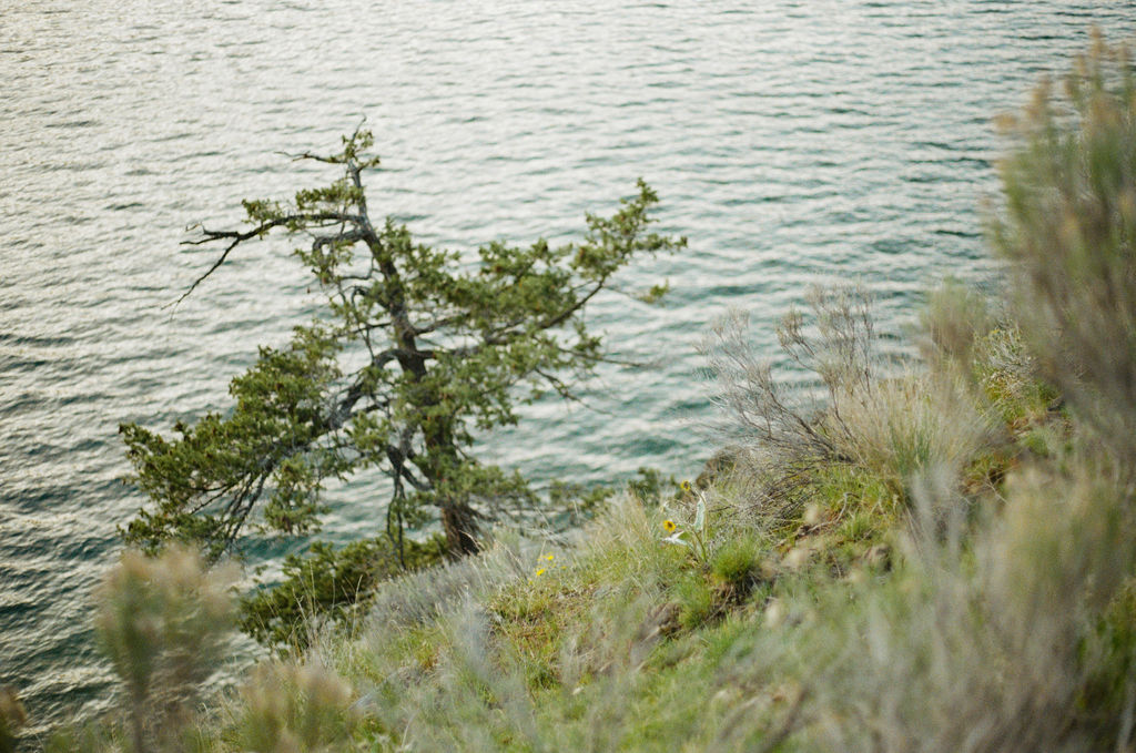 Kelowna Okanagan proposal photographer wedding photographer film photographer 35mm super8
