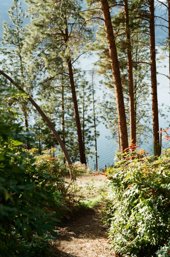 Kelowna Okanagan proposal photographer wedding photographer film photographer 35mm super8
